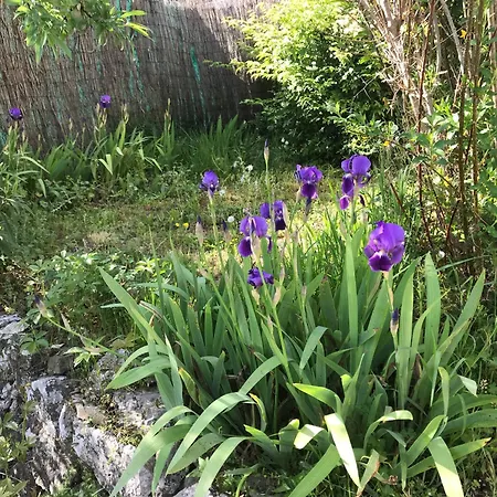 Le Patio Fleuri Lorgues