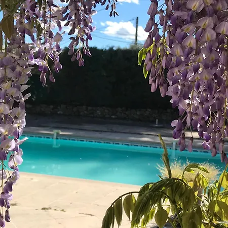 Guest house Le Patio Fleuri *