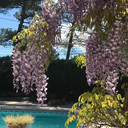 Le Patio Fleuri Pensión